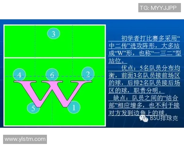 成都排球队力量对比深度解析与战术优势剖析
