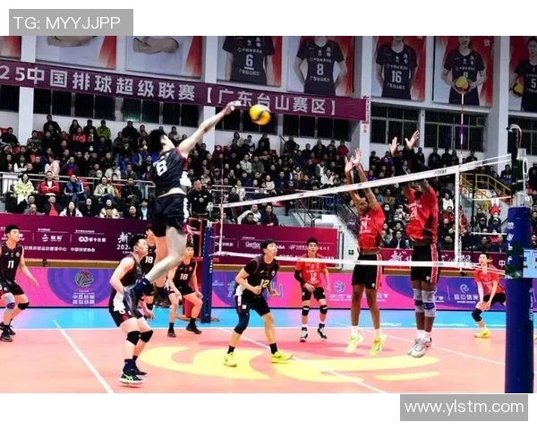 排球巨献：深入分析重庆排球队心理素质与竞技表现的关系