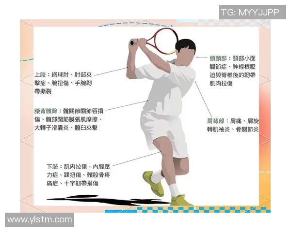 陈娜独家揭秘网球技巧与心得分享助你提升球技的秘诀