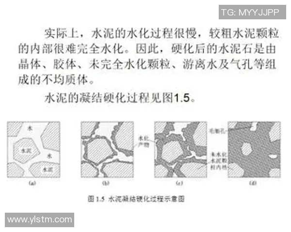重庆足球队区域防守的优缺点分析及其对比赛结果的影响探讨