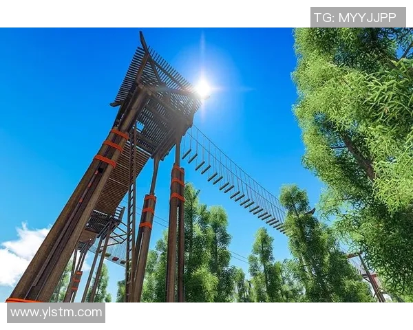 攀岩人生的探索与坚持:杨秀英的深度对话与心路历程